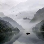 四叶星雨