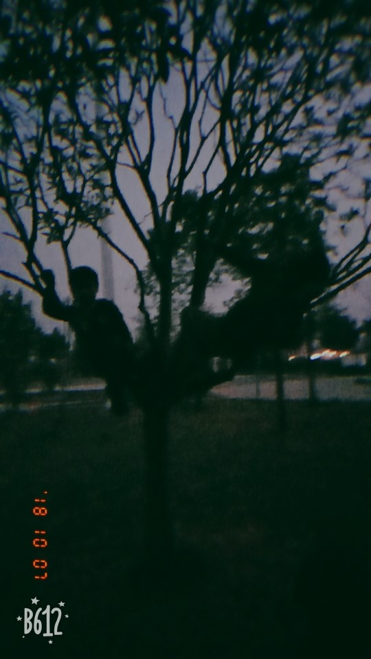 果果(平安好运)的图片
