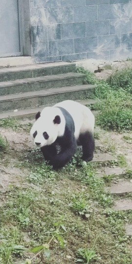 平安是福（1）主播照片