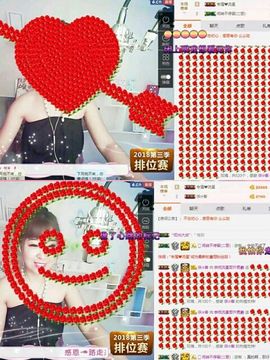 一只雁~主播照片