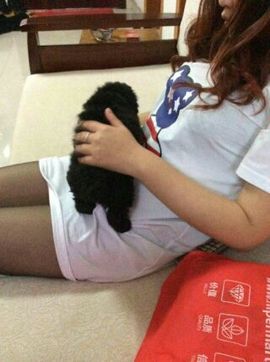 虎虎虎🐰主播照片