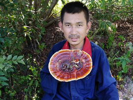 人称江湖，看嗨主播照片