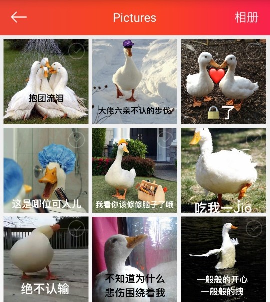 果果(平安好运)的图片