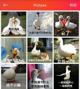果果(平安好运)主播照片