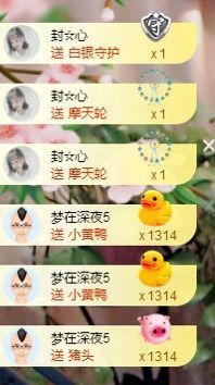 丫头随缘直播主播照片