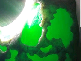 知足常乐oooo主播照片