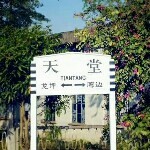 醉神奇海报