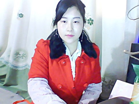 l时间限制海报