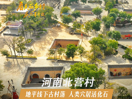 春老板zz主播照片
