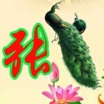 张~~哥~～