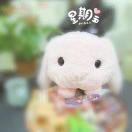 💕浅夏时光👒