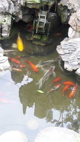 ♬默默✨小蛮宝☞🌜主播照片