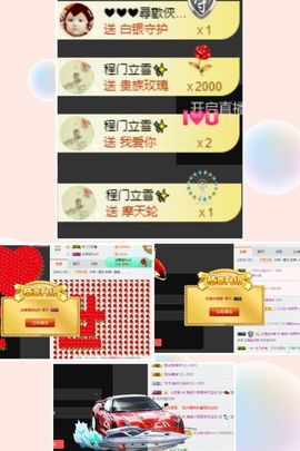 海鸽休息几天主播照片
