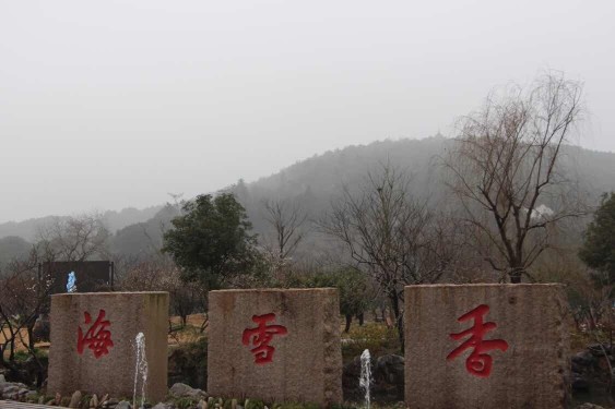 马伍也的主播照片