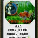 忘记了一切从头开始王