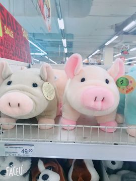 🐾笑笑🐾主播照片