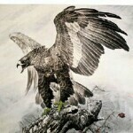 豪🦅鹰的头像