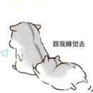 LJ🐾🐾海报