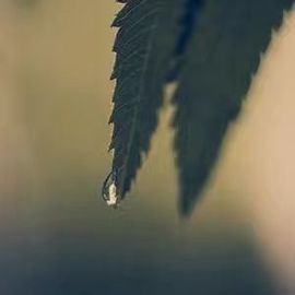 乖“我们的回忆，😘主播照片