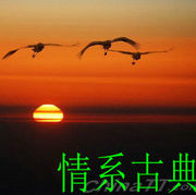 情系古典