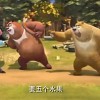 淡淡地心情
