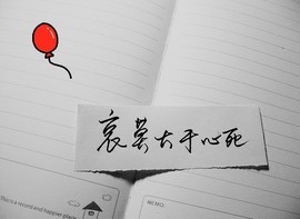 ◆◇の沫沫守候﹎主播照片