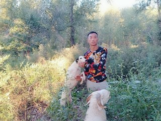 始终如一lf的主播照片