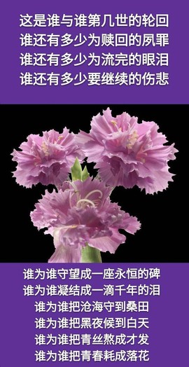 〖2021〗主播照片