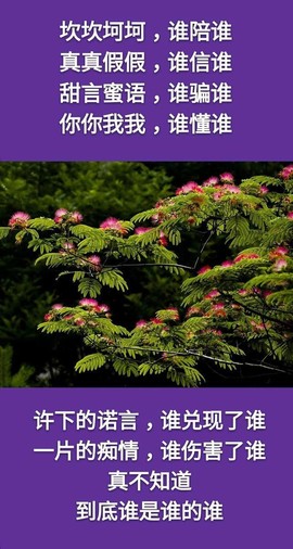 〖2021〗主播照片