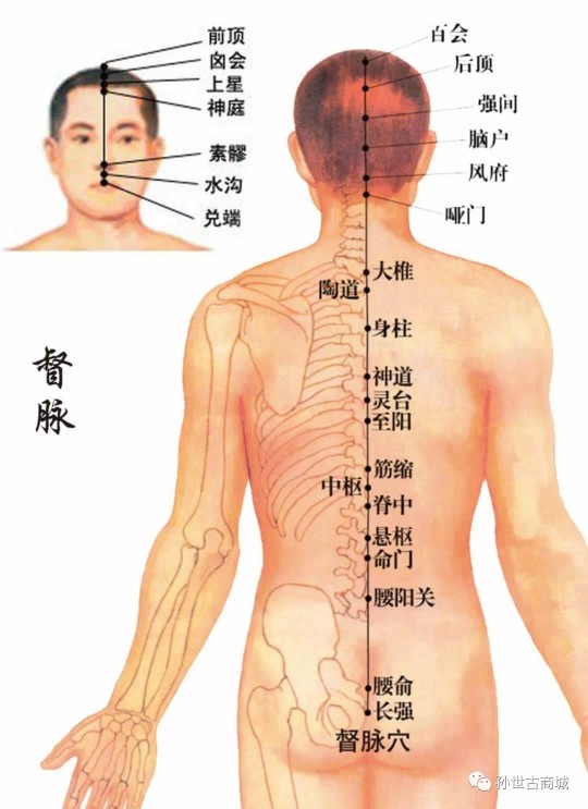 三羊开泰@+的主播照片