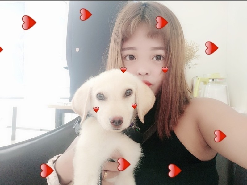原来是点哥的主播海报