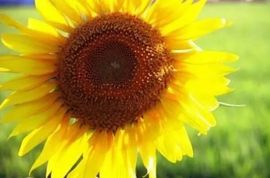 请收索18500房间主播照片