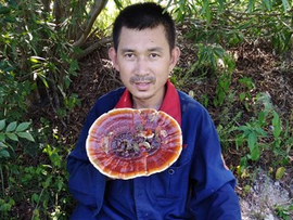 沉默是金pri主播照片