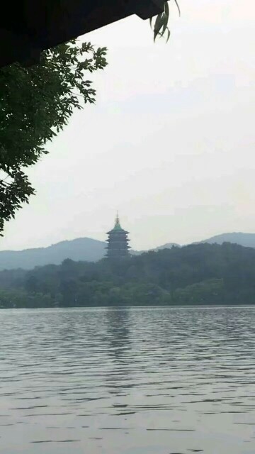 简简单单ღღ主播照片