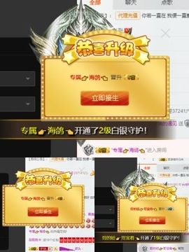 海鸽休息几天主播照片