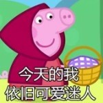 佳莱宝海报