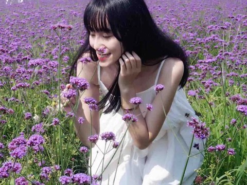 莫轻舞。海报