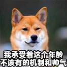 好运来jej海报