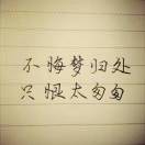 恶向胆边生7海报