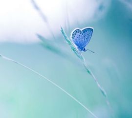 ♬默默✨小蛮宝☞🌜主播照片
