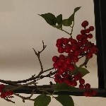 #对酒当歌#海报