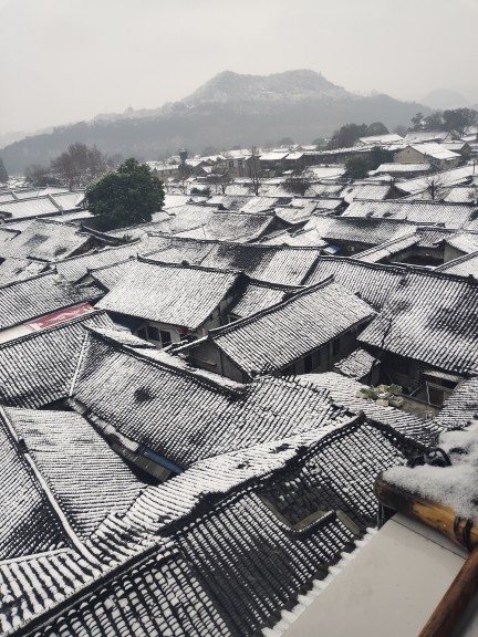 树下雨声泓的主播照片