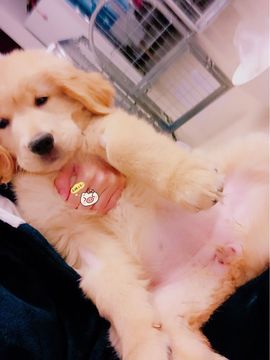 jkf萨法主播照片