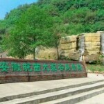 健康山龟