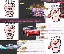 58426685主播照片