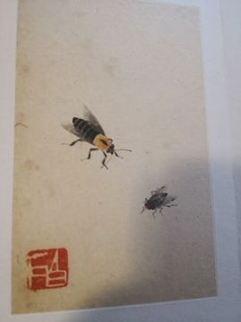 🌟瞎串串主播照片