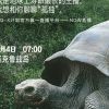 日子不好过哟