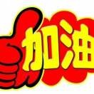浮沉qy的头像