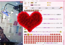 一只雁~主播照片