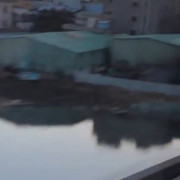 董驾驾